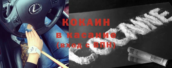 эйфоретик Арсеньев