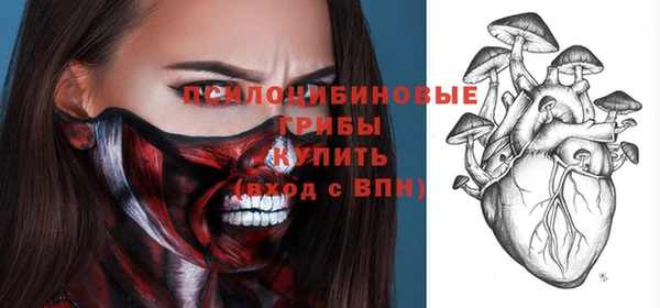 apvp Новозыбков